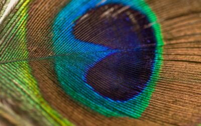 What Is Soul Realignment?
