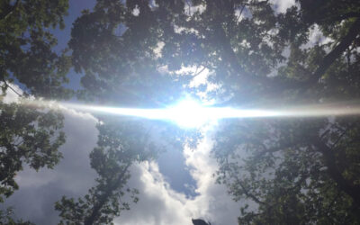 Your Soul Group of Origination