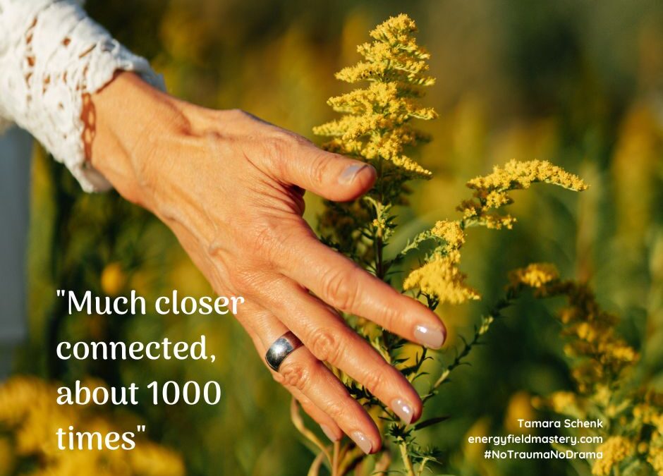 “Much closer connected, about 1000 times” | Patrick